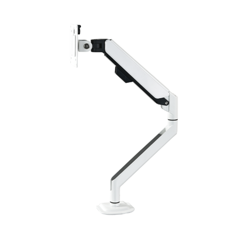CMS3151 (3).png